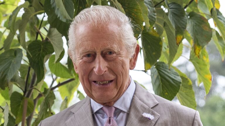 King Charles Reveals Stunning Snow-Covered Gardens at Sandringham Estate