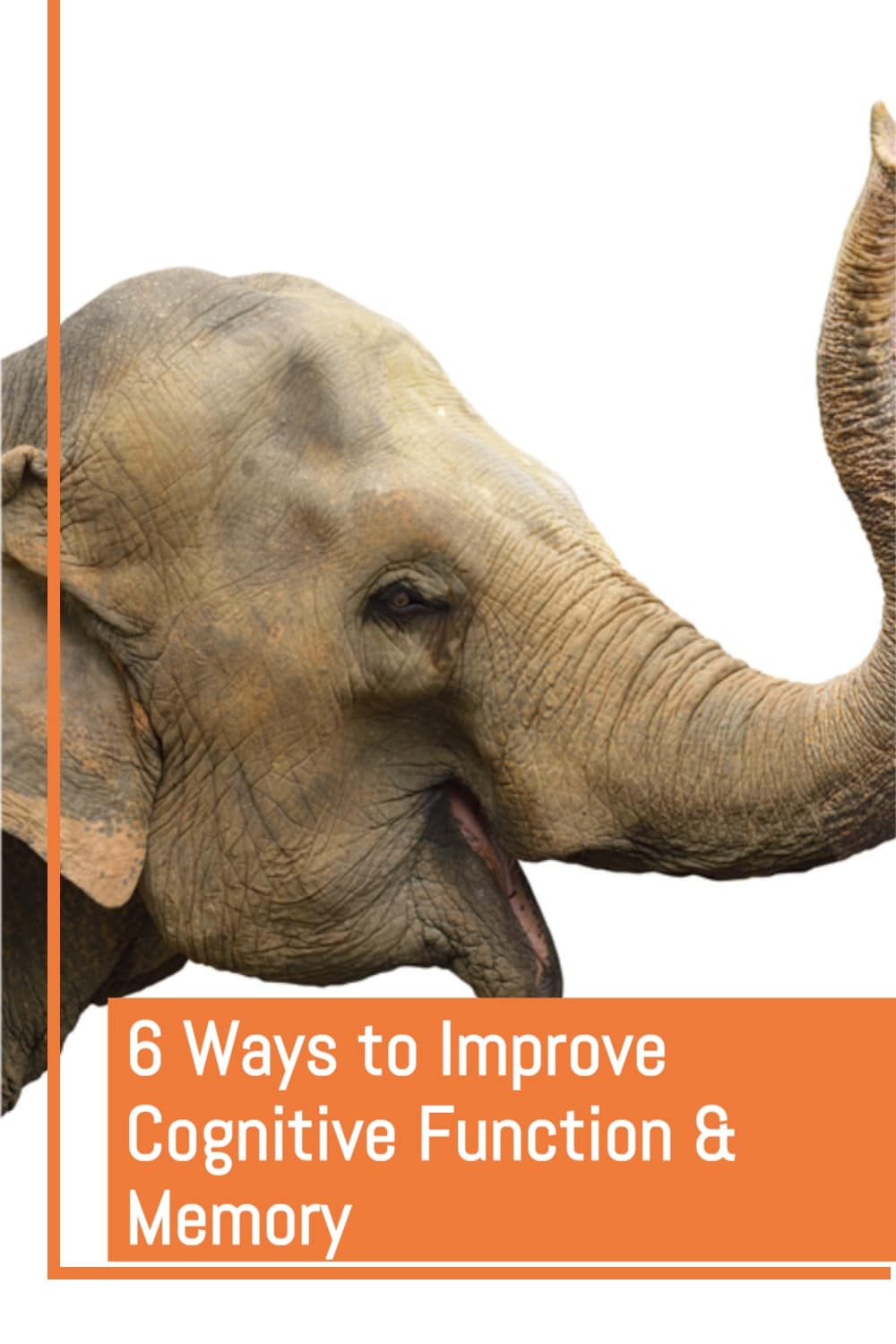 6 Ways to Improve Cognitive Function and Memory