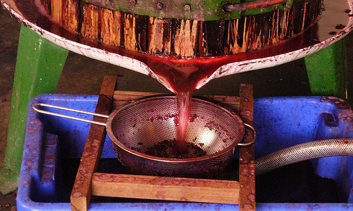 Wine making