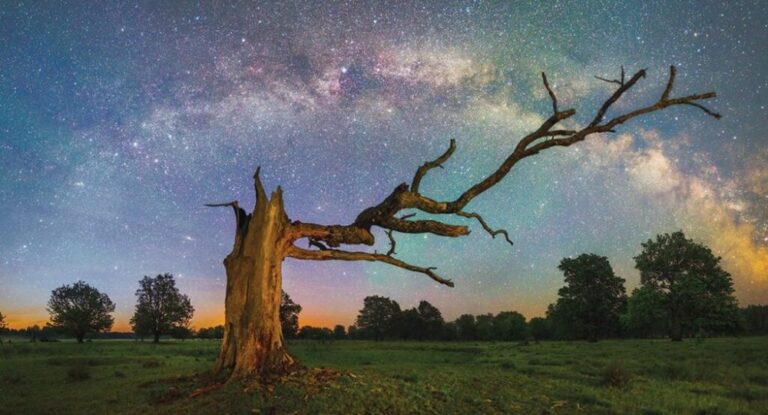 Chasing the Aurora: A Belarussian Astronomer’s Cosmic Alphabet