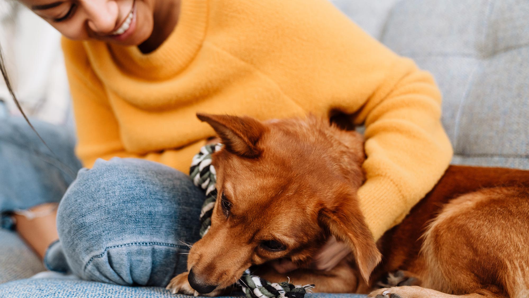 AdobeStock 480952310 web