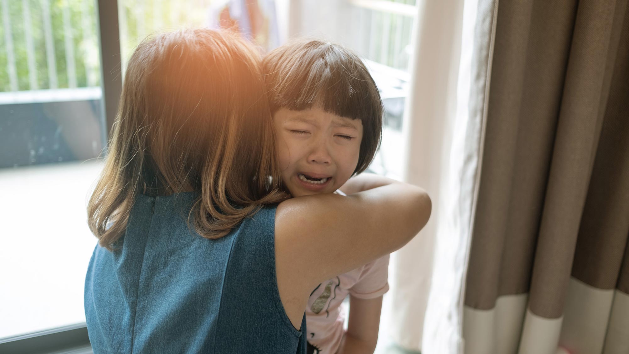 AdobeStock 558323278 web