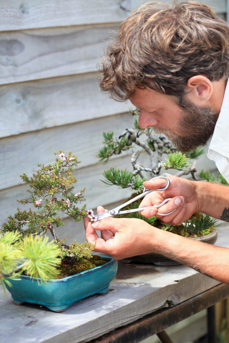 Bioattic’s Adrian Bird talks bonsai trees