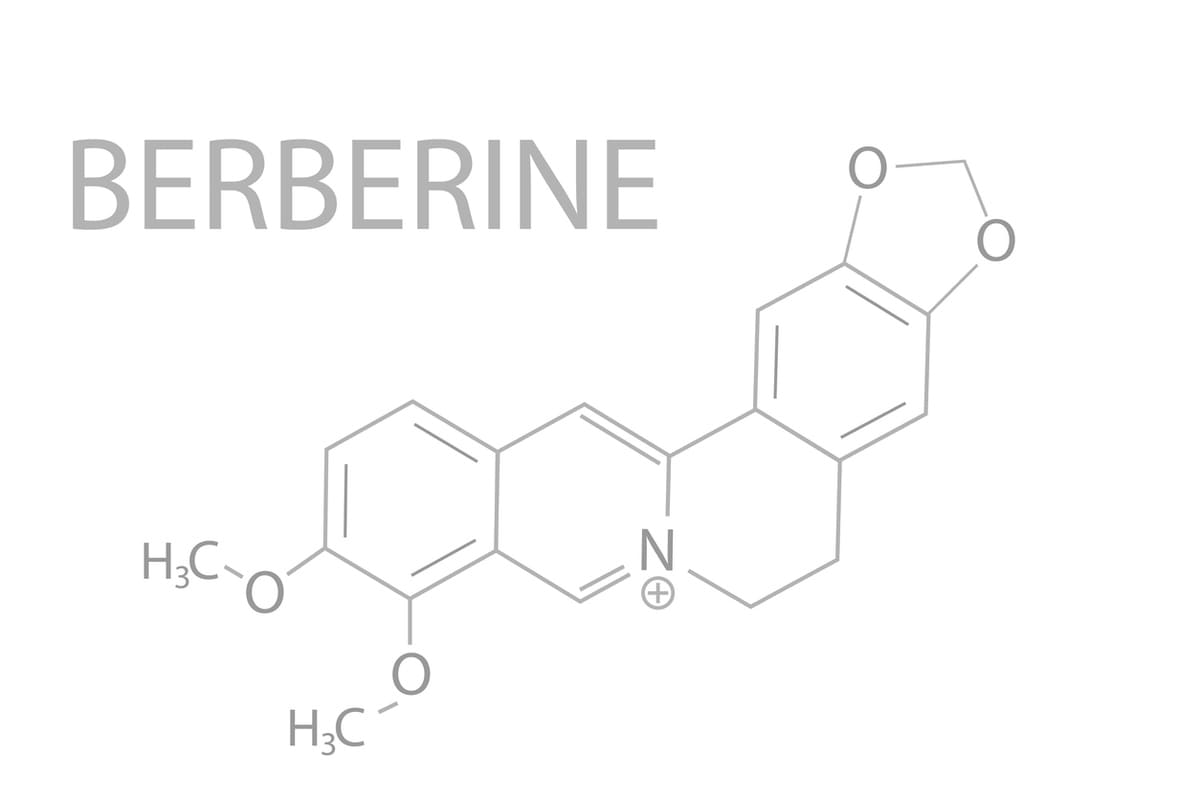 Berberine graphic