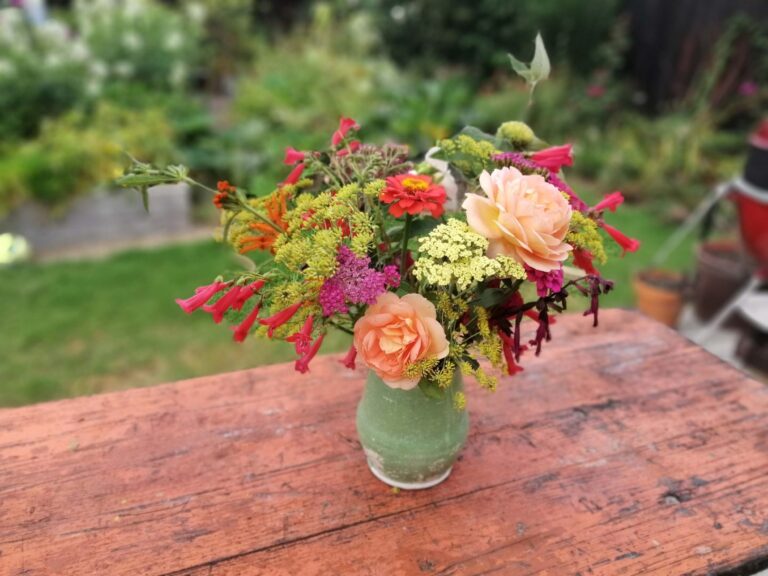 10 best flowers to plant in spring for a summer picking garden