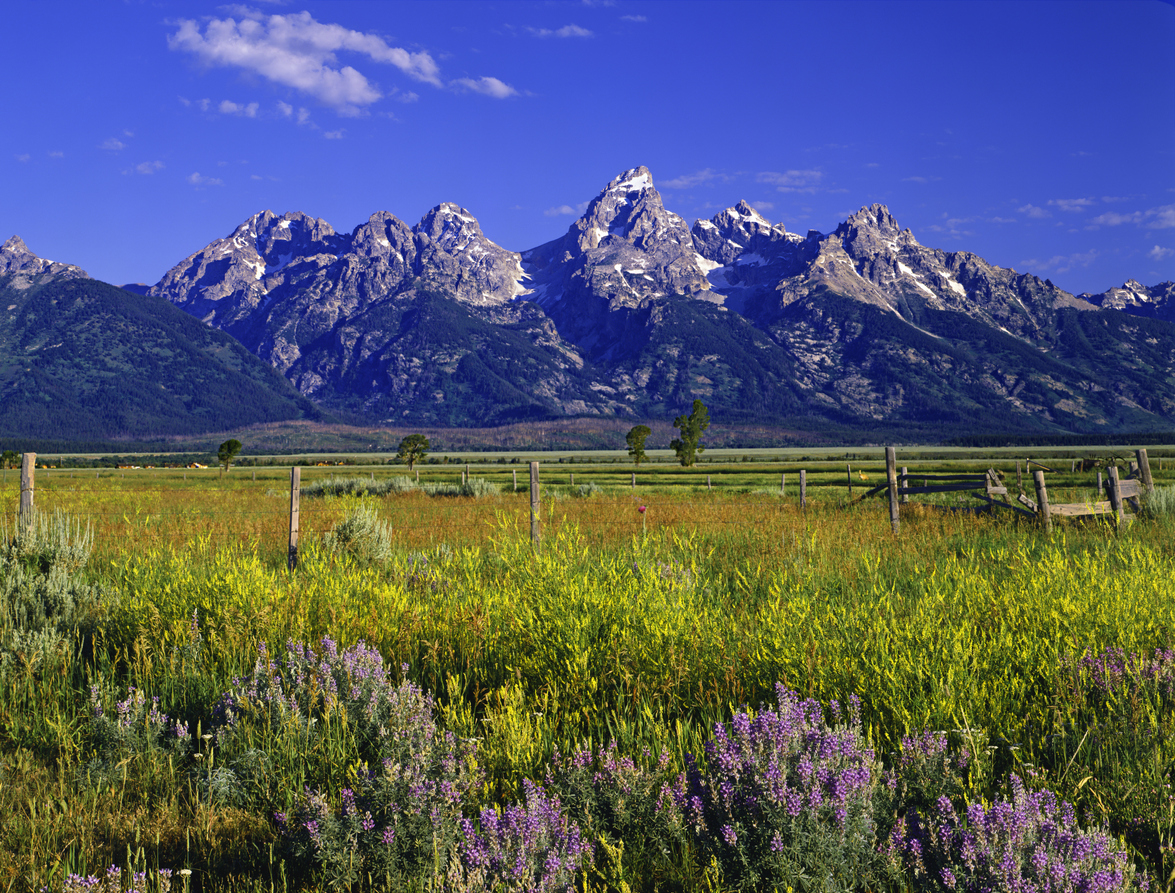 14 Great Trips with Grandkids in the United States 11 Jackson Hole, Wyoming