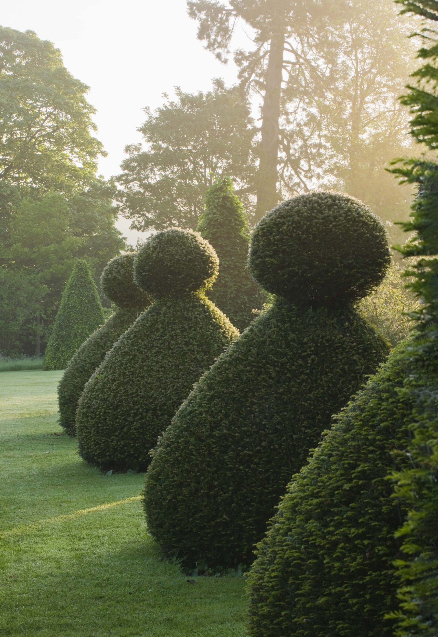 Main image Topiary 1 scaled 1