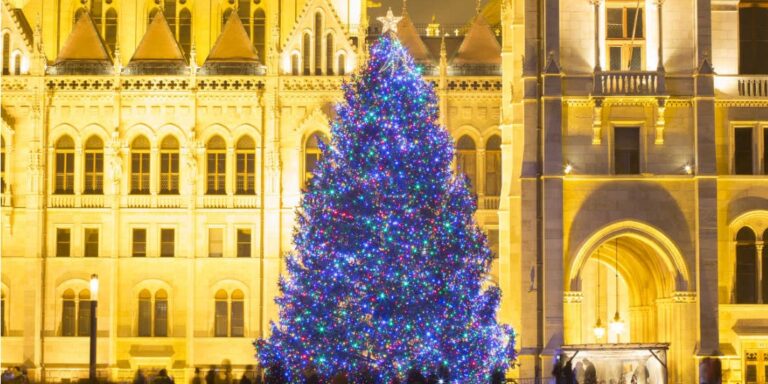 Europe’s Most Unique Christmas Trees of 2023: From Cake Trees to Catapults