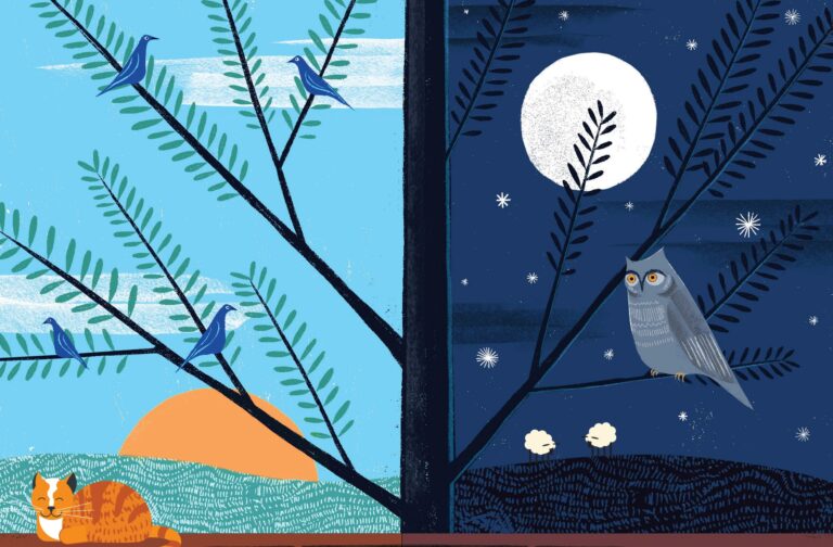 Are you a night owl? Turn into a morning lark with these top tips