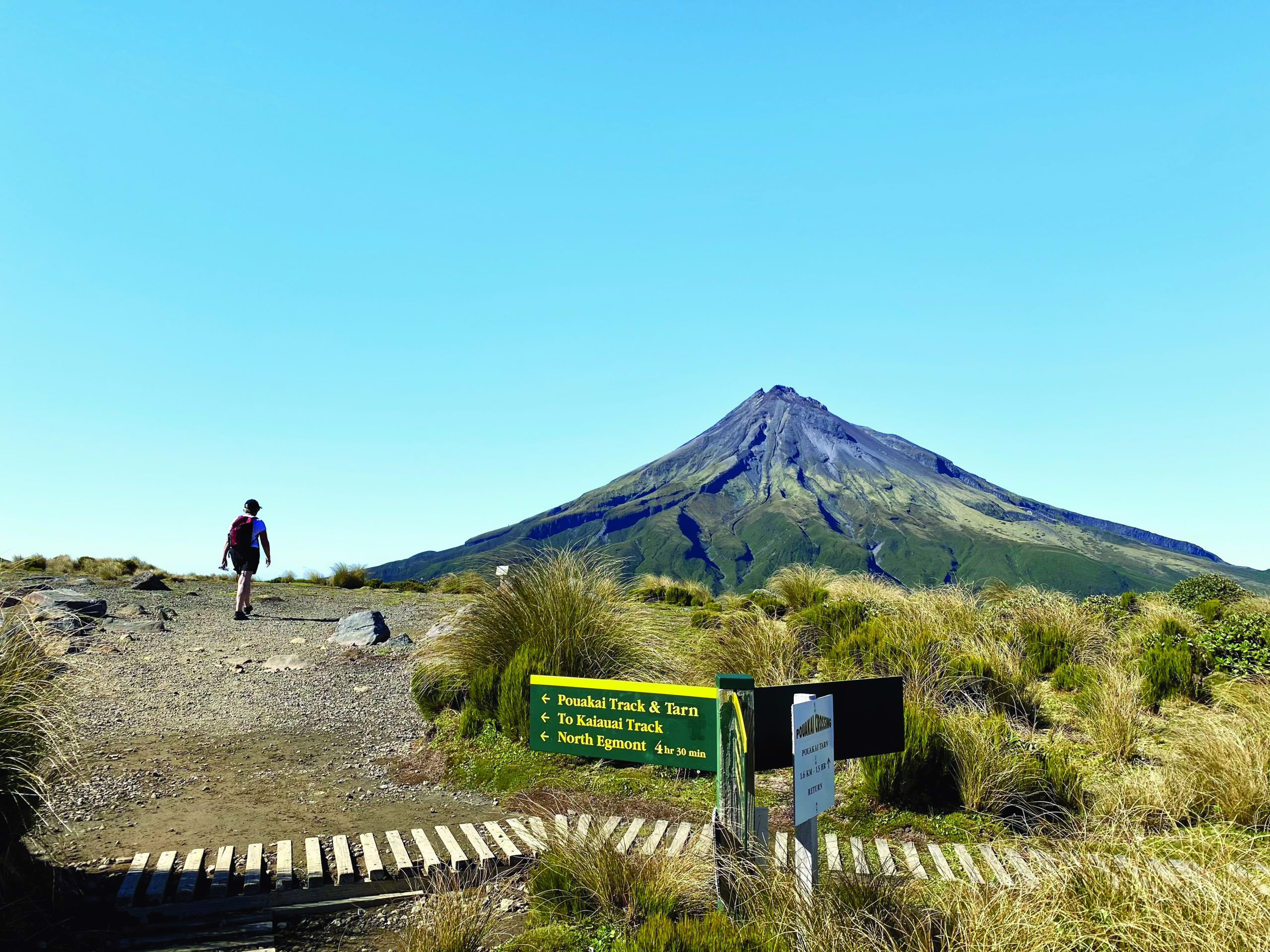 Pouakai Crossing heading towards the Pouakai Tarns scaled 1