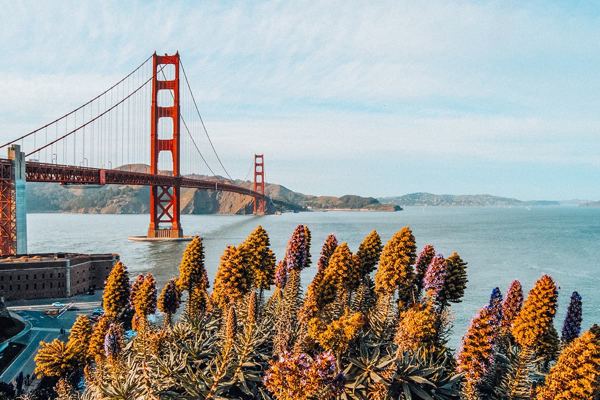 14 Great Trips with Grandkids in the United States 9 San Francisco