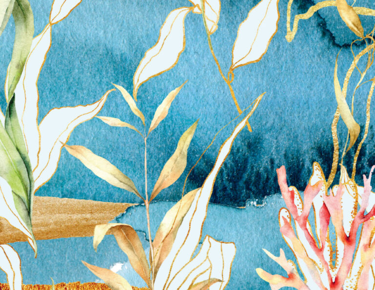 Benefits of seaweed: Why you should be enjoying this superfood regularly