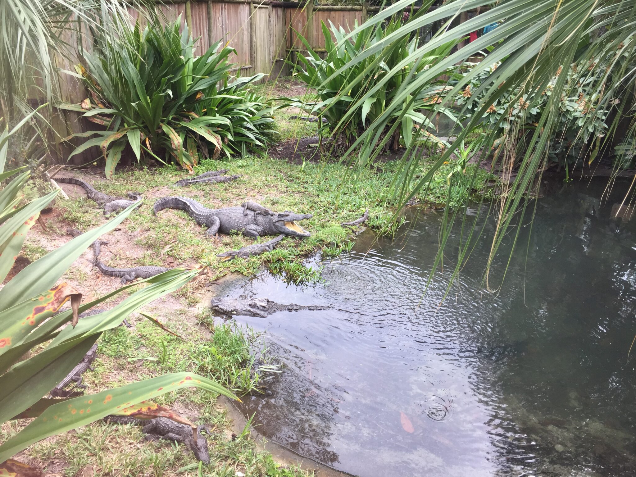 14 Great Trips with Grandkids in the United States 10 St. Augustine