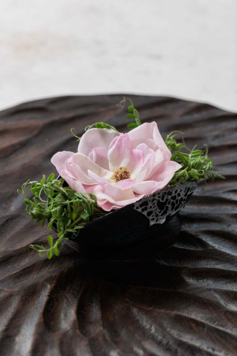 Delta: A Memorable Gastronomy Adventure Through The Heart Of Athens