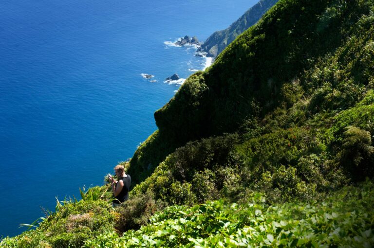 A place I love: Tour guide John Barrett on Kāpiti Island