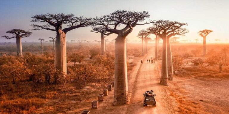 Madagascar: The Enchanting Land of Lemurs and Ancient Baobabs