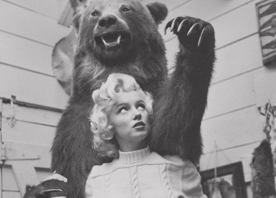 aHR0cHM6Ly9oZXJvaW5lLnJ1L3dwLWNvbnRlbnQvdXBsb2Fkcy8yMDE3LzAzLzI3LzAucG5n