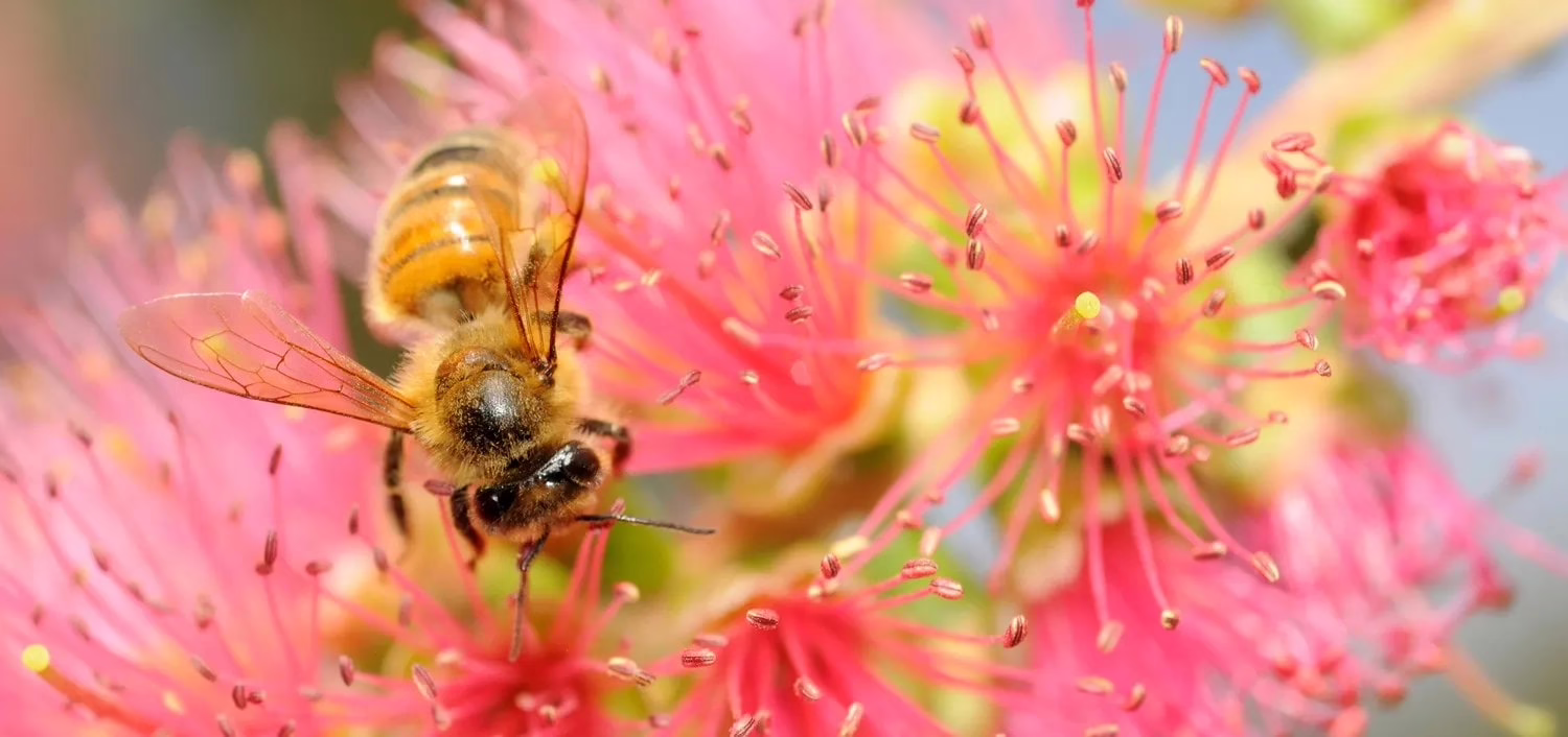 ae67542263d6a44fd94b04fdbba31aa7930a2ae6 6224x4134 1