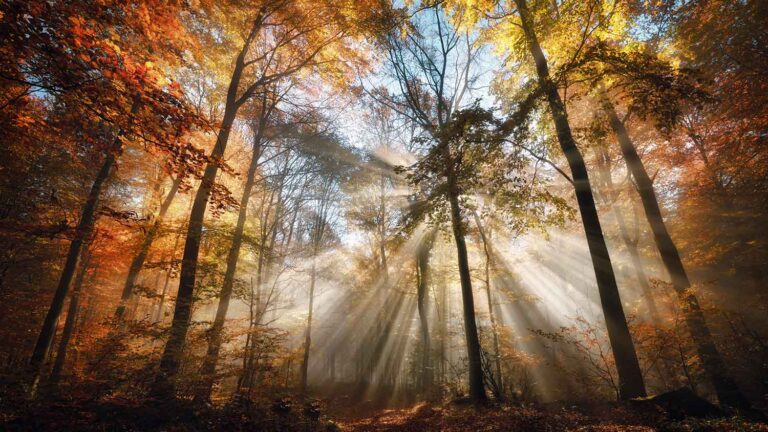 Strength in Every Season – Inspiring Women