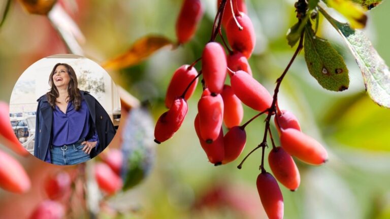 How Berberine Helped Woman Wake Up and Fight Her insulin resistance