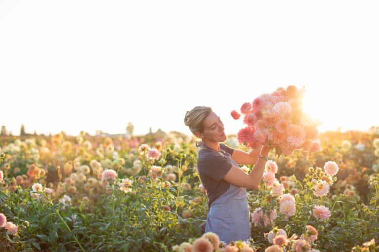 Divine dahlias: How to create show-stopping arrangements for your home