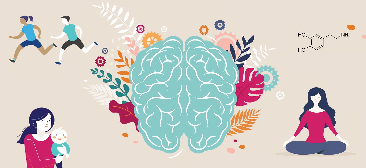 d255ecf936c6a85e9a92310c0ef1ffde47a80755 1500x692 1