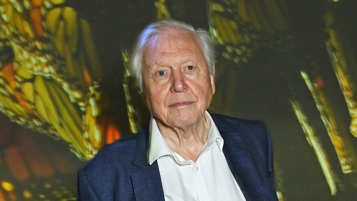 df7d944645ad david attenborough