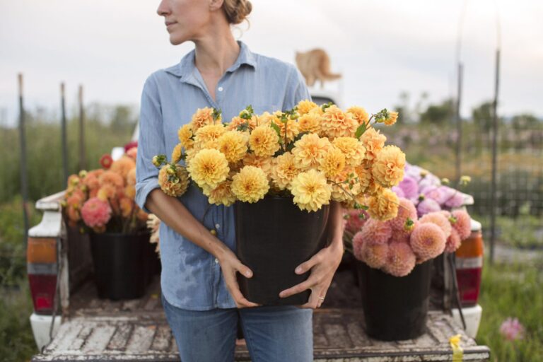 Demystifying dahlias: 20 stunning dahlia varieties for the ultimate home decor