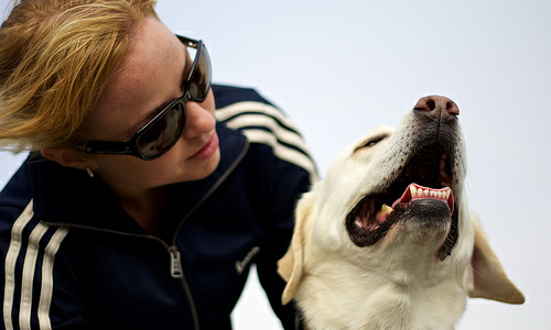 How to Take Care of a Dog?