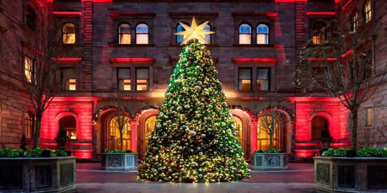 Top 10 Most Beautiful Christmas Trees Around the World in 2021