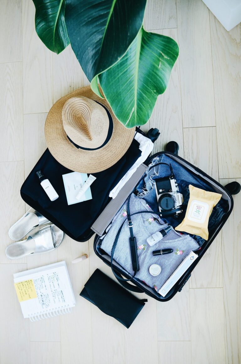 How to Travel on a Budget: The 3 Essentials You Need to Know. – Femest