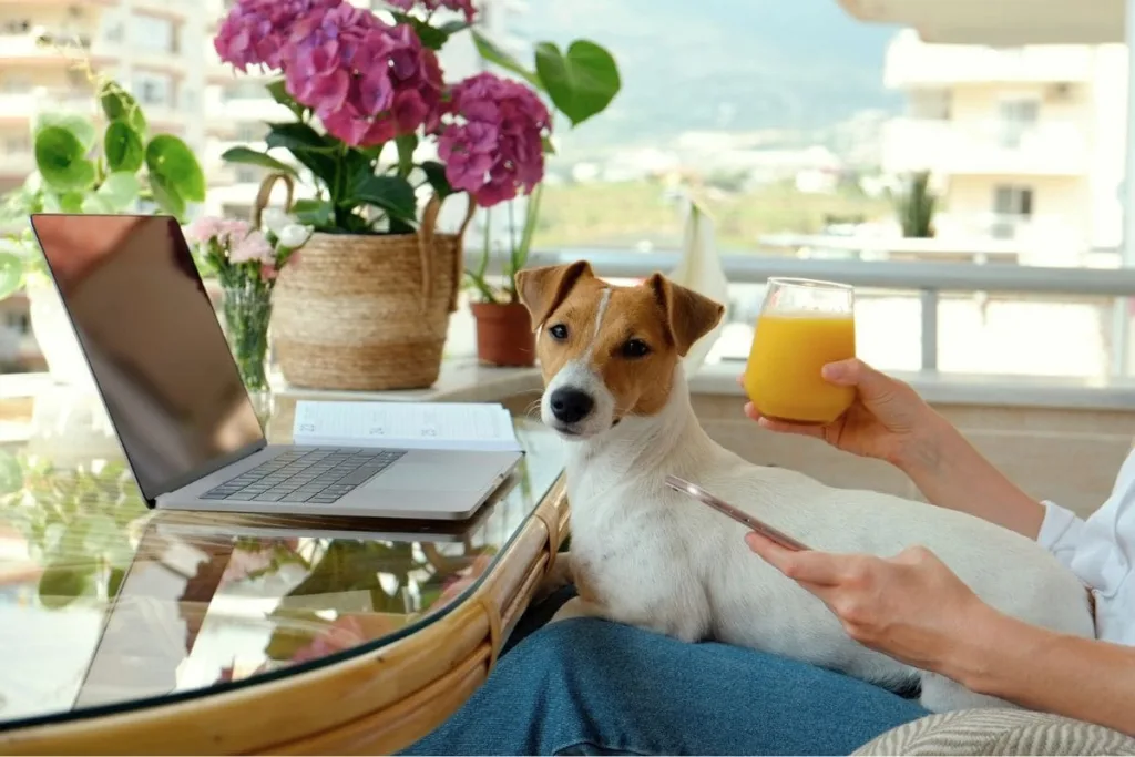 13 Profitable Pet Businesses You Can Run From Home