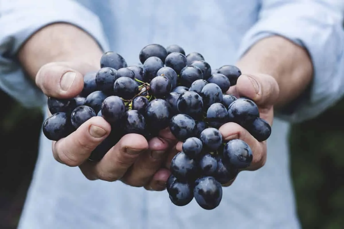 5 healthy habits