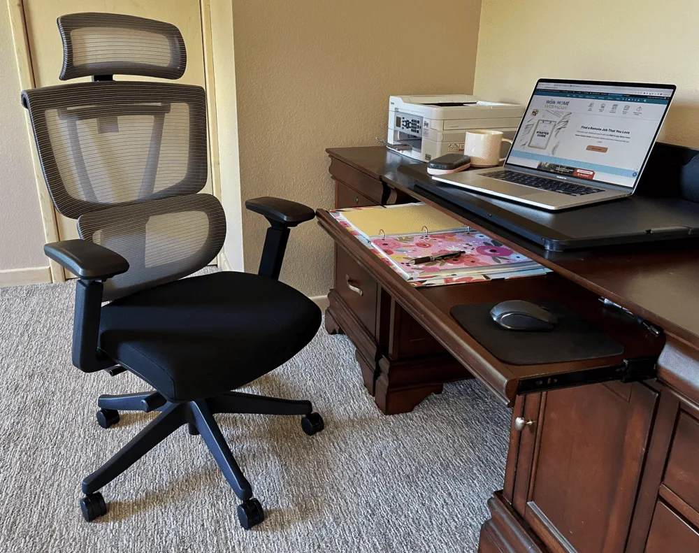 FlexiSpot Desk Chair