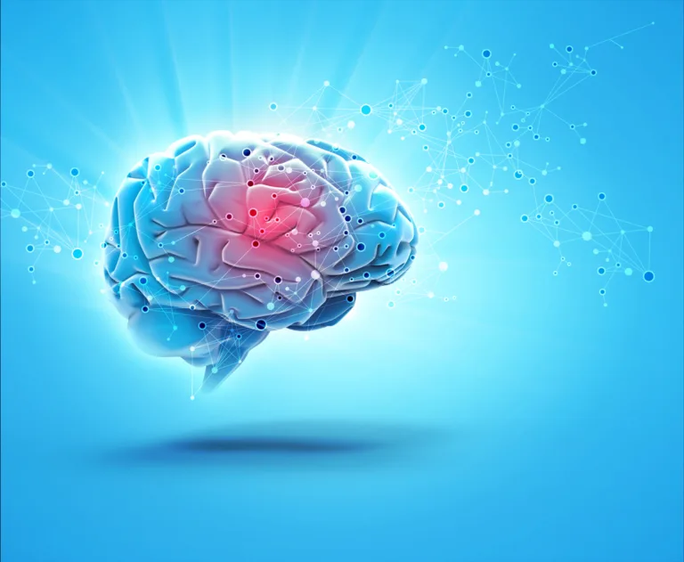 5 Healthy Habits for Good Brain Function