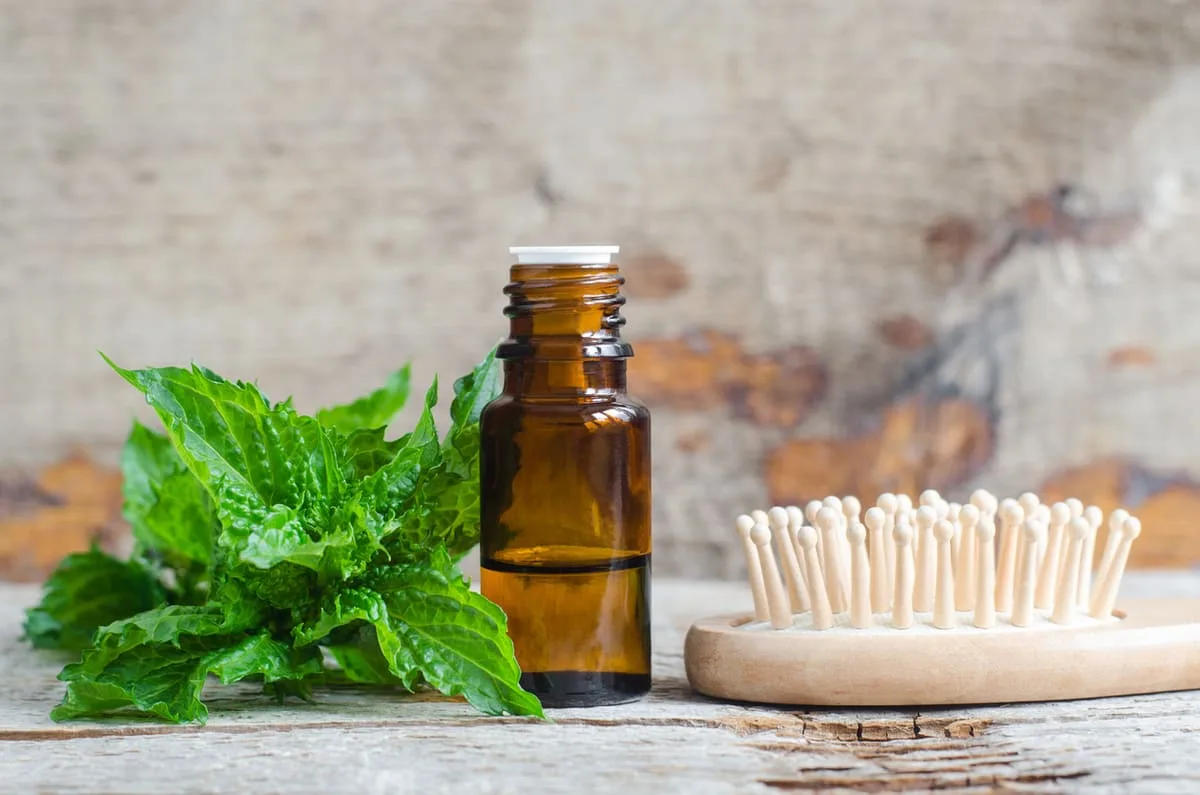 best herbs for scalp inflammation feature