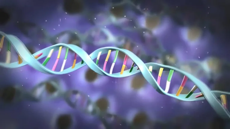 Turn Biotechnologies: The Breakthrough Science Reversing Aging at the Cellular Level